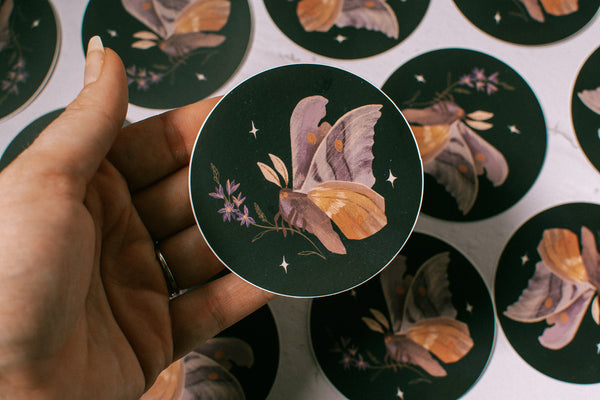 Wildflower Moth 3” Sticker