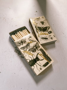 Insect Menagerie Ritual Matchbox